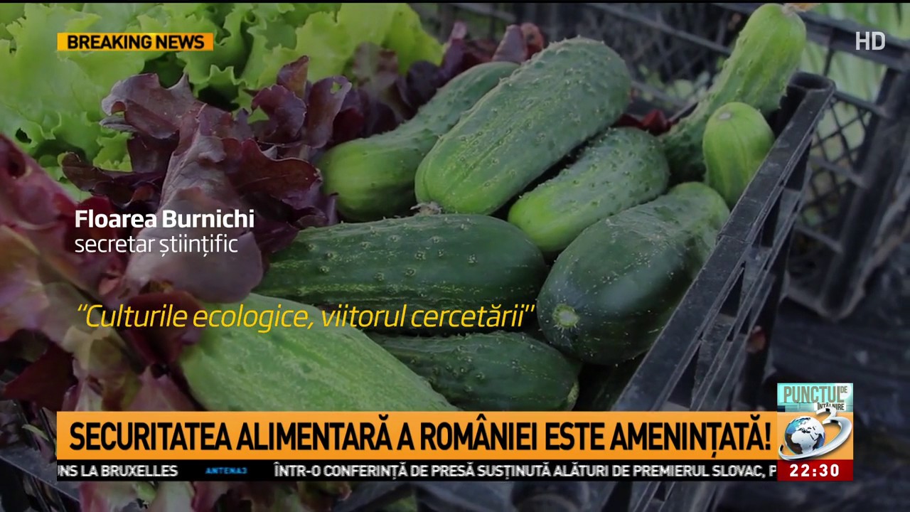 Securitatea alimentară a României este amenințată!