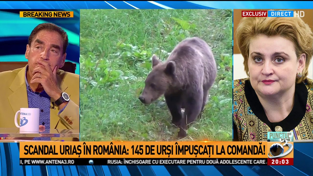 Guvernul da ordin : 140 de ursi sa fie impuscati