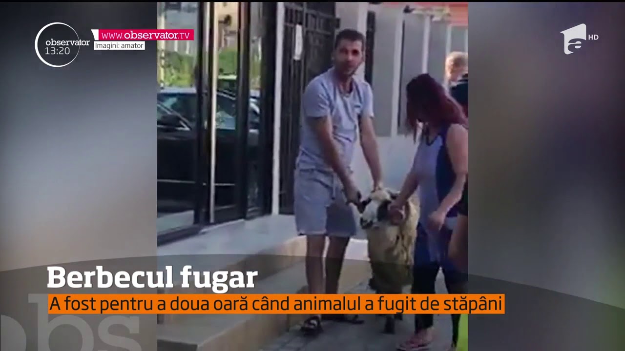 Imagini incredibile pe strazile din Constanta