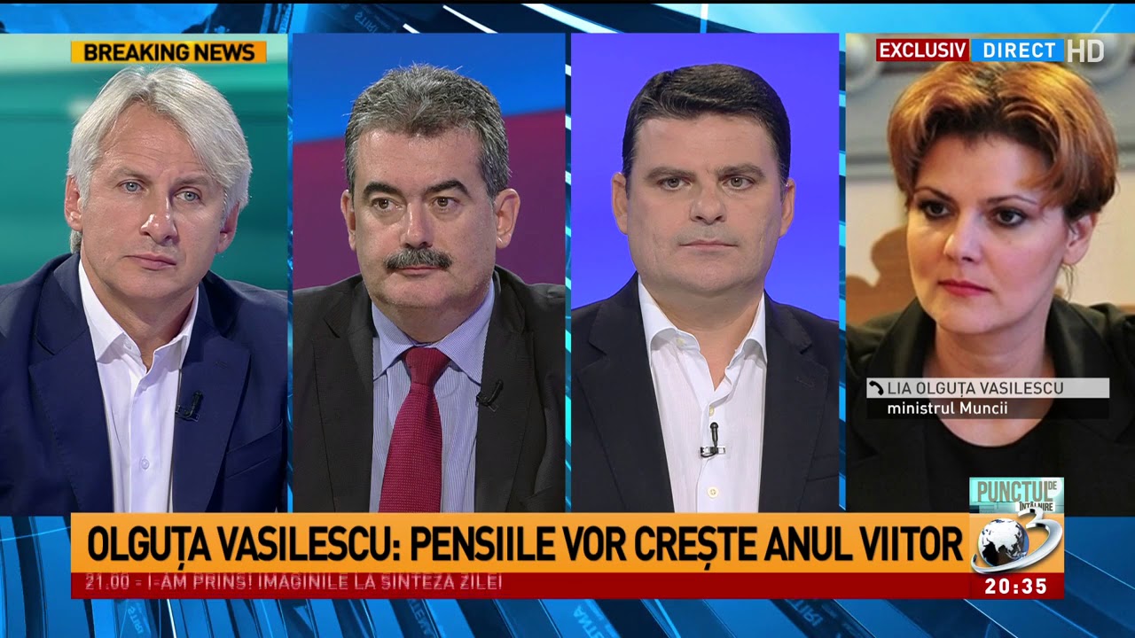 Olguta Vasilescu, precizari importante despre legea pensiilor