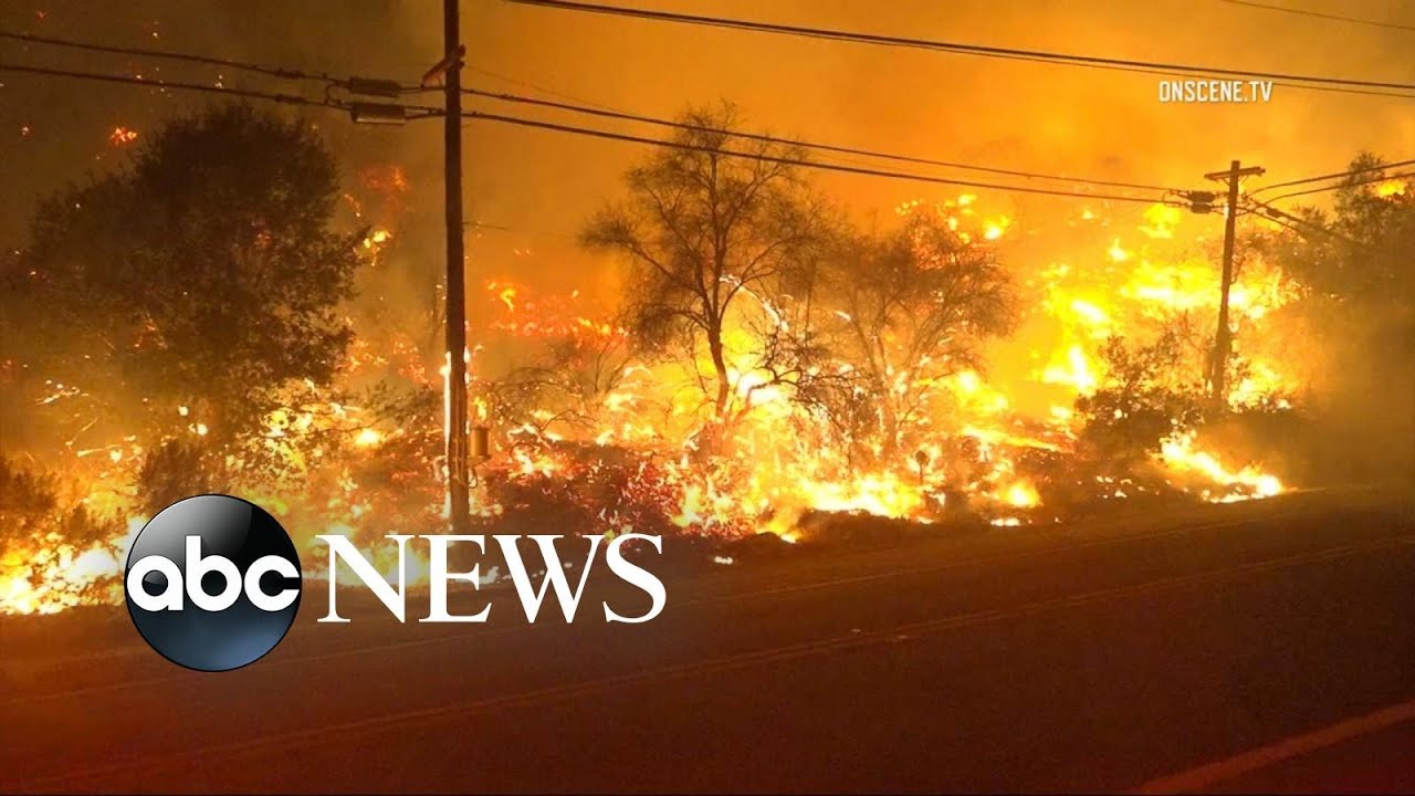 Imagini socante vin din California