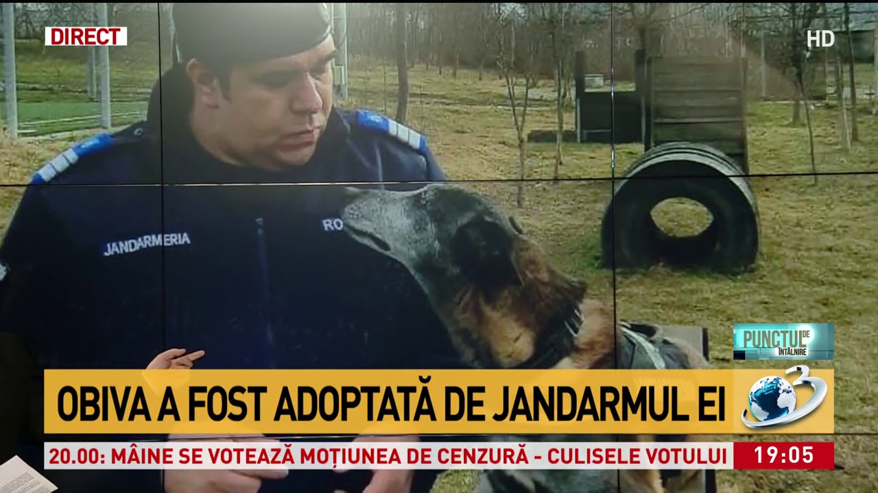 Obiva, cateaua jandarm trecuta in rezerva