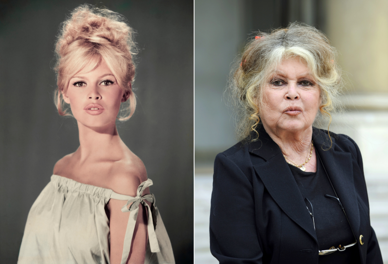 Brigitte Bardot suferă de o boală gravă, e operată