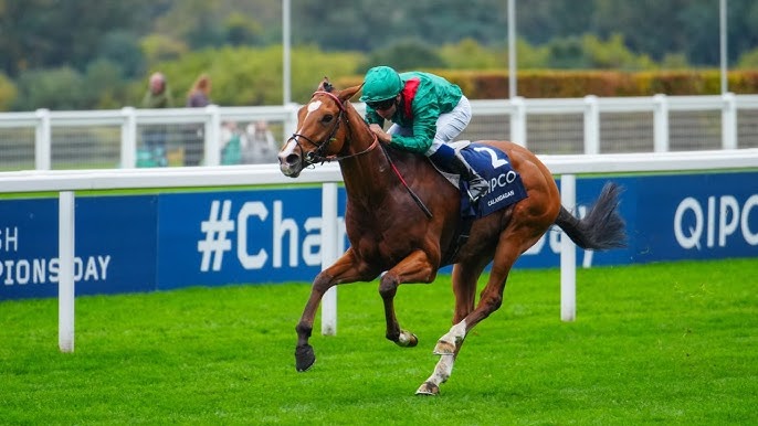 Cel mai bun cal de curse din lume