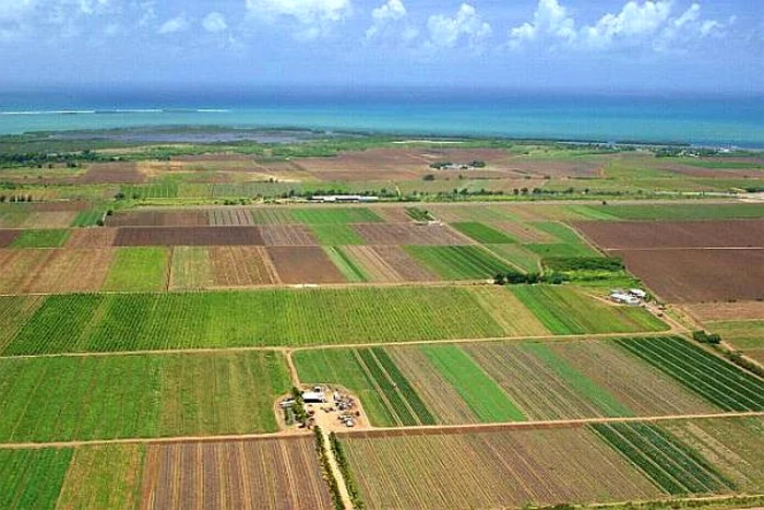 Ce preţ are terenul arabil în România faţă de media UE